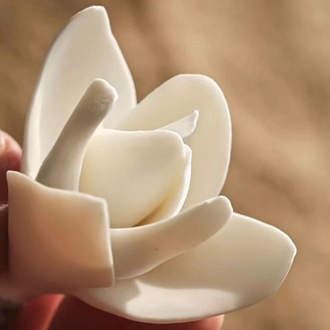 Handcrafted Magnolia Porcelain Incense Holder
