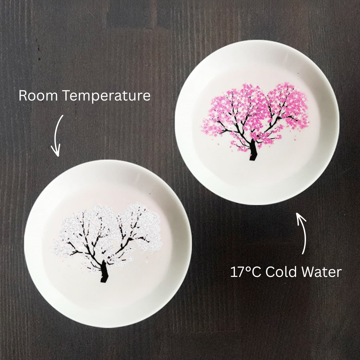 Mino Ware Thermochromic Cold Bloom Sakura Sake Cup Set