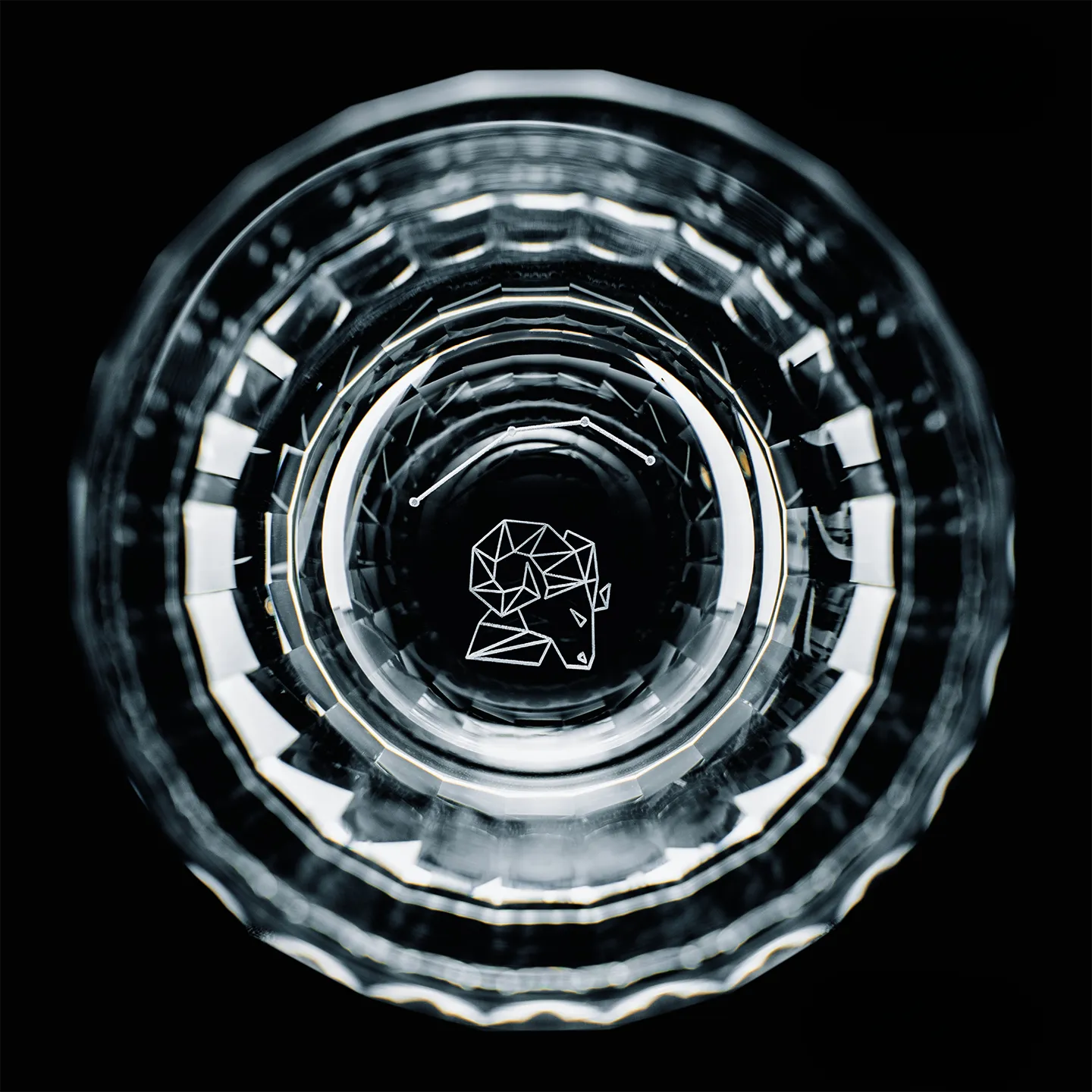 Edo Kiriko Zodiac Constellation Hand-Cut Whisky Glass