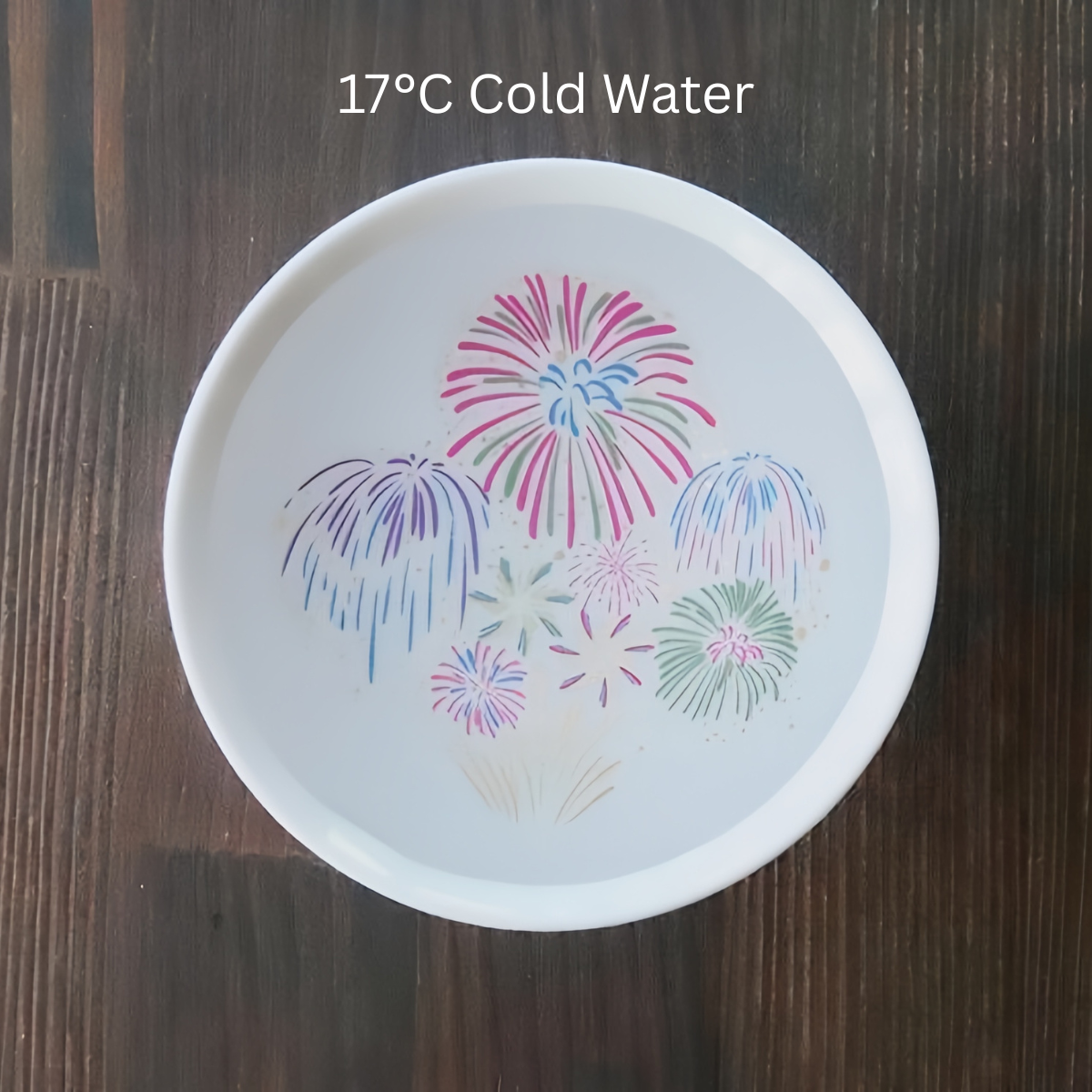 Mino Ware Thermochromic Cold Bloom Hanabi Sake Cup Set
