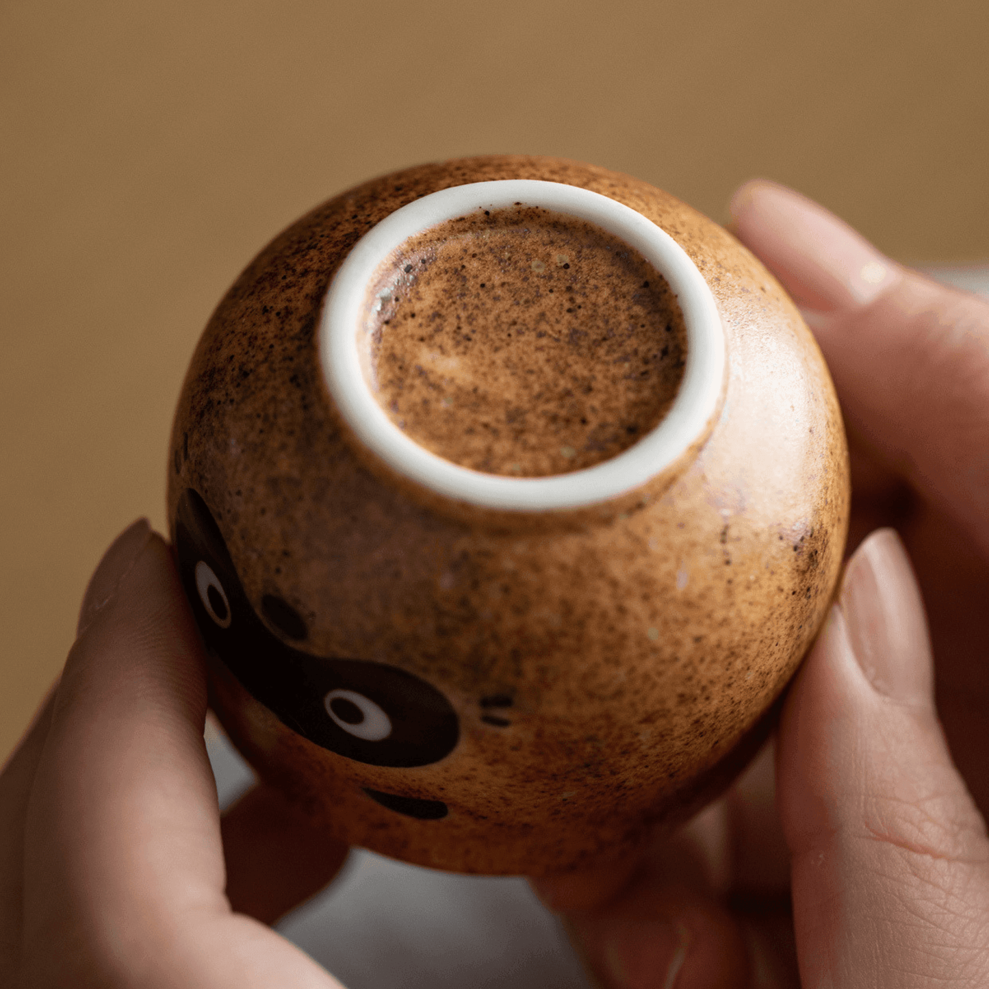 Japanese Ceramic Tanuki (Raccoon) Sake Set