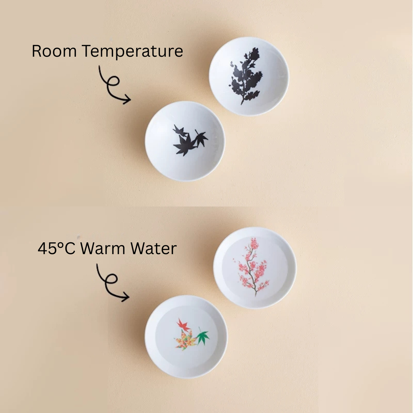 Mino Ware Thermochromic Warm Bloom Sakura Momiji Tea Cup Set