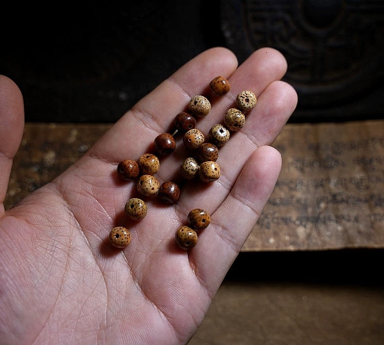 Star-Moon Bodhi Seed Mala Bracelet – Aged Wisdom. Unique Craft