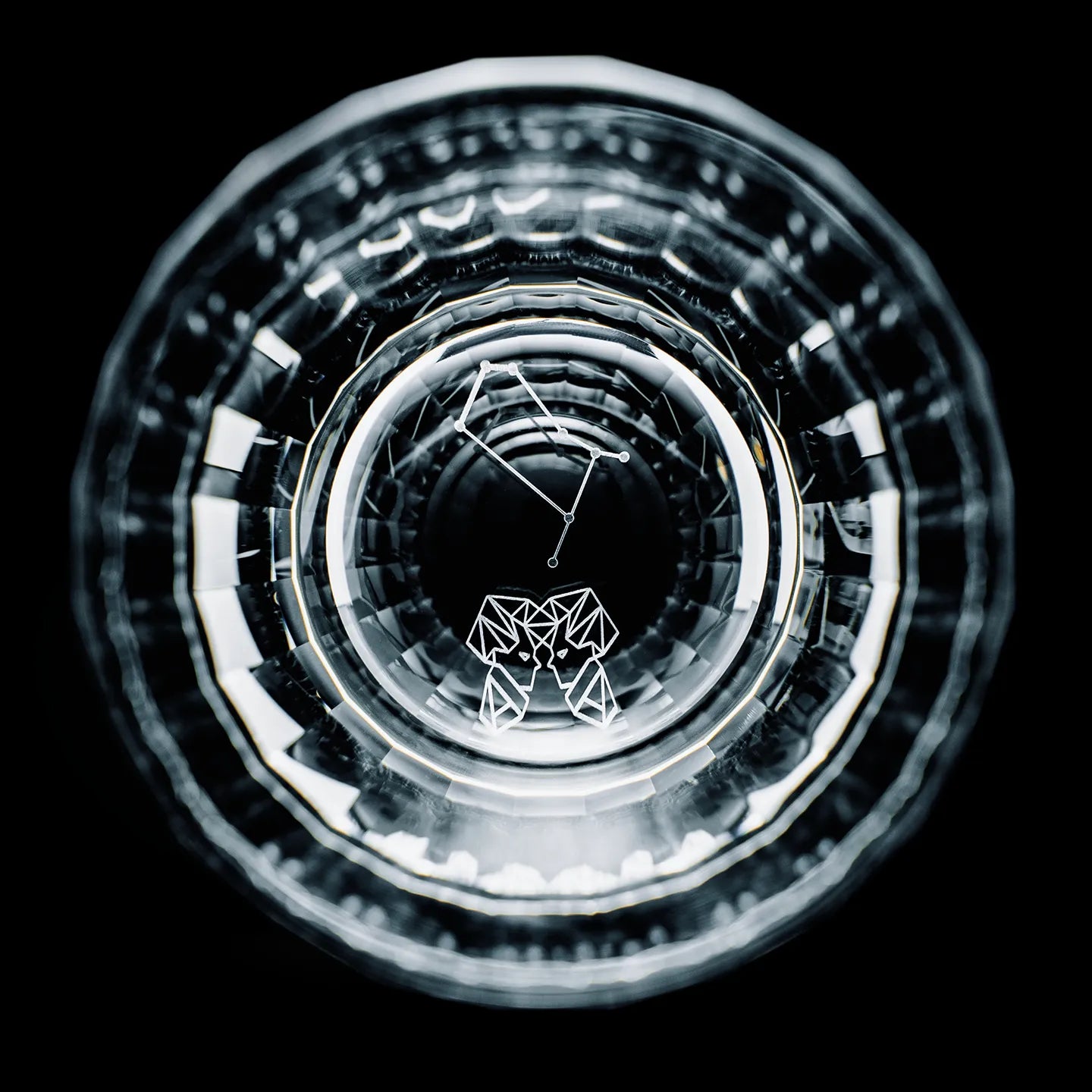 Edo Kiriko Zodiac Constellation Hand-Cut Whisky Glass